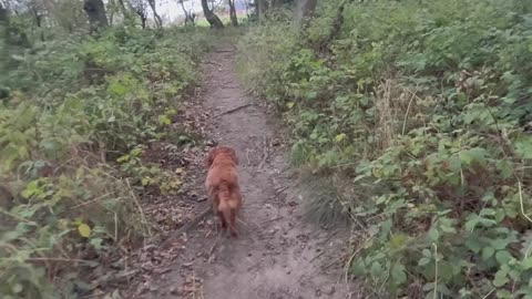 07/10/25 random run with Willow