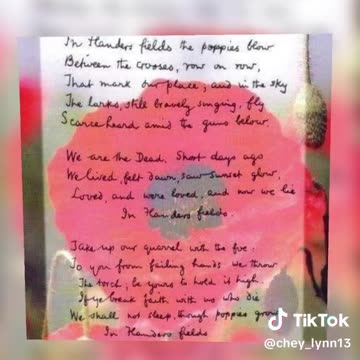 In Flanders Fields 🌺