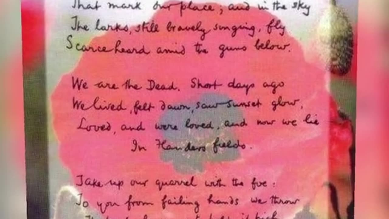 In Flanders Fields 🌺