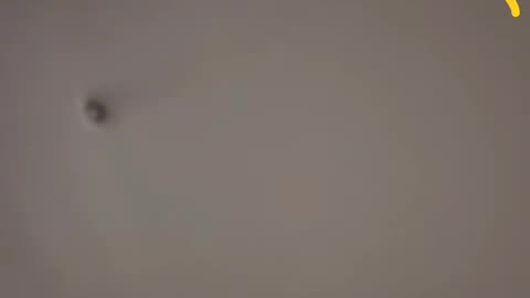 RECEIPTQUEEN CLIPPED 1ST SHIFT TEACAPPING K9 VS. BOSS BARBIE FIGHT