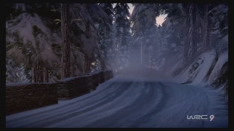 WRC9 (Ps5) Race57