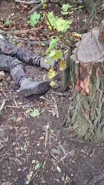 Wounded Russian Soldier is Prepared for Transport