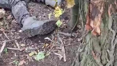 Wounded Russian Soldier is Prepared for Transport