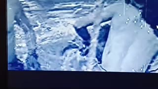 Deleted from Indoctrinated ideas tiktok 2 10 2026