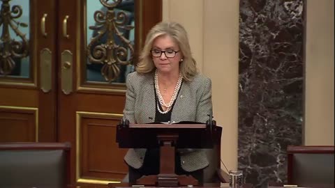 Senator Blackburn — We are going to release Epstein flight logs and FBI filesI