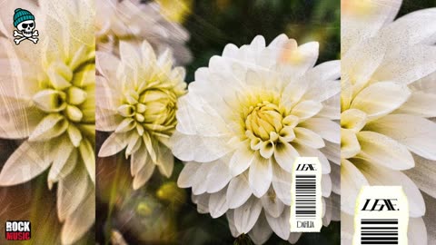 LEAF. - Dahlia (2025)