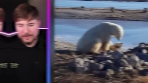 Must Watch: World's Cutest Animals!