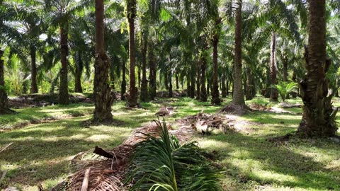 "A creative man is motivated by the desire to achieve, not by the desire to beat others."