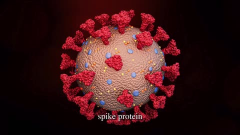 COVID Was Handled Backward — And People Paid the Price