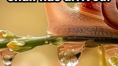 Your emotional support snail has arrived #motivational #naturemeditation #panicattack