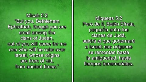 Living Hope Today Studies + Church Worship Services