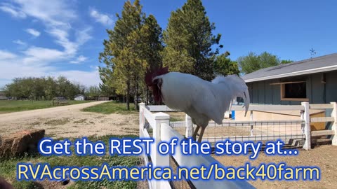 Meet Ron & Lisa Kern of Back Forty Farms - as an RV traveler you'll WANT to know about their farm...