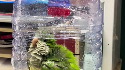 🤯💡 This Simple Trick Will Make Your Idea Look So Cute! | LifeHacksDaily