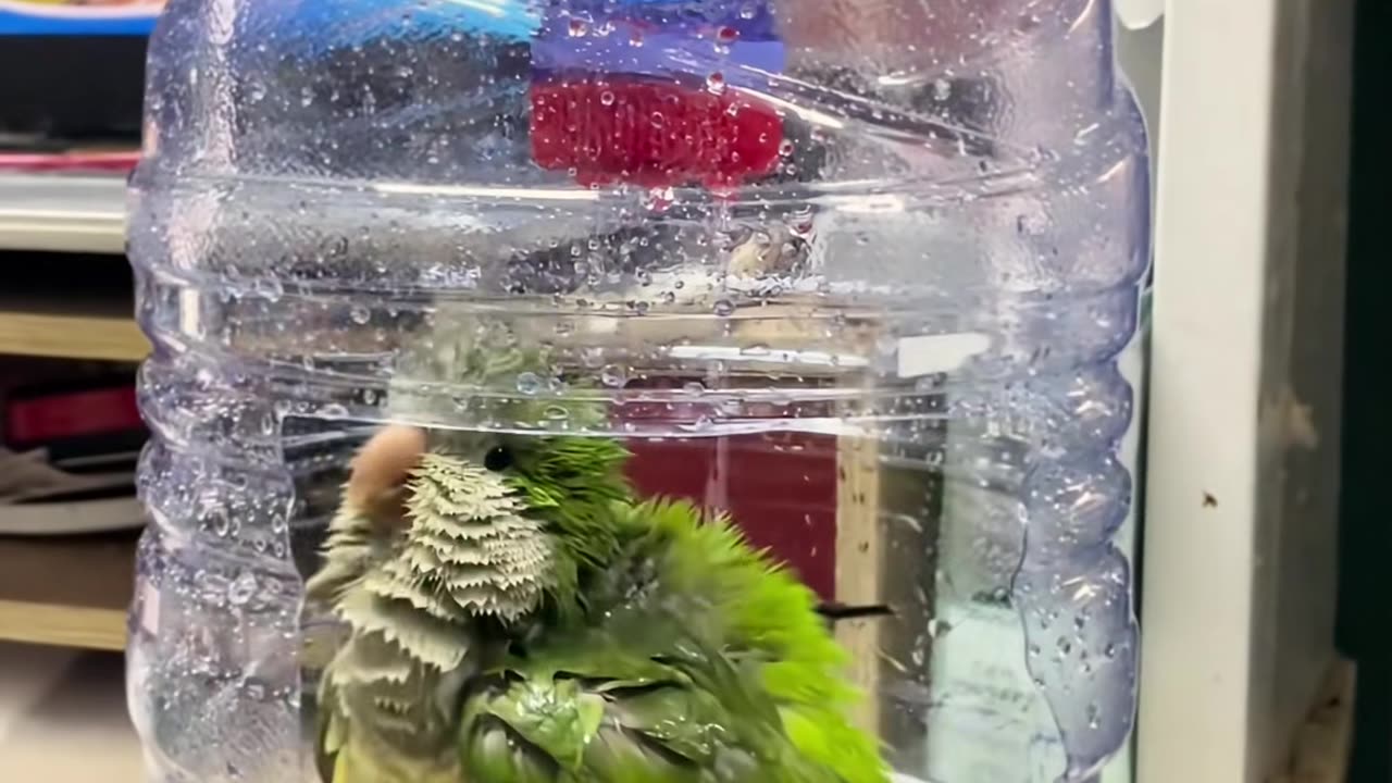 🤯💡 This Simple Trick Will Make Your Idea Look So Cute! | LifeHacksDaily