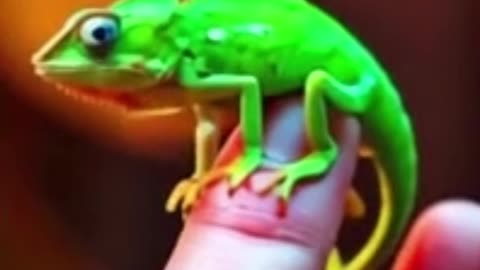 Animal Fusion Mind-Blowing #amazing#shorts#hibrid#animals#nature