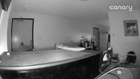 😲👻 What In The World Would That Be? | TheHauntingHour