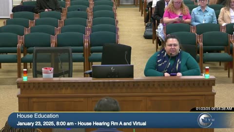 Nonbinary queer teacher goes on unhinged anti-Trump rant during a hearing in