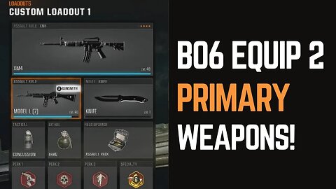 How to Have 2 Primary Guns in BO6: Your Ultimate Guide!