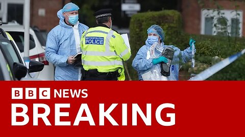 Afghan man charged with murder after dog walker killed in triple stabbing in London | BBC News