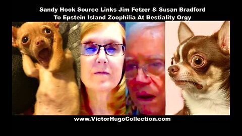 Sandy Hook Source Links SGT Report Researcher HopeGirl Jim Fetzer Susan Bradford To Epstein Island
