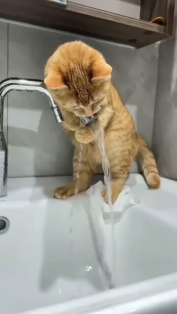 You could watch this forever!