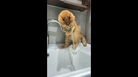 You could watch this forever!
