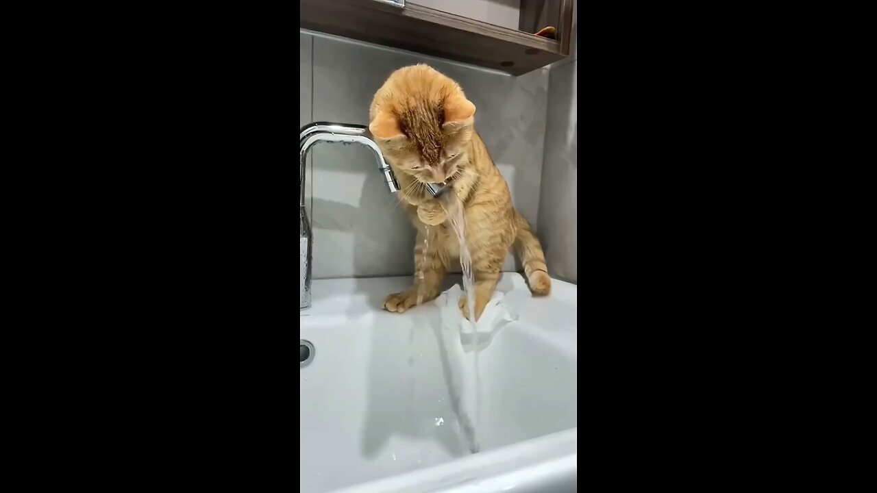 You could watch this forever!
