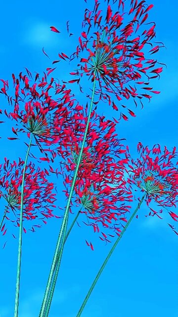 Experience unexpected nature 😉