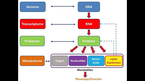 Wireless Genomics 1/3