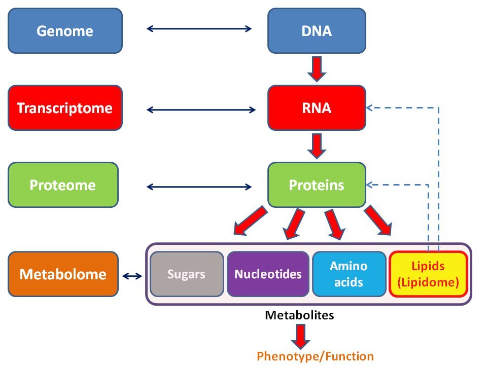 Wireless Genomics 1/3
