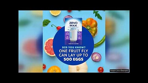 Zevo MAX Flying Insect Trap Fly Trap Captures Houseflies Fruit Flies Review