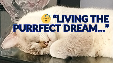 Very cute dream ❤️