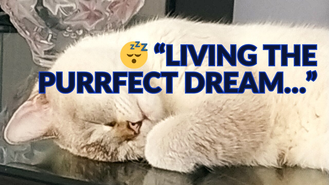 Very cute dream ❤️