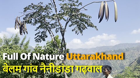 PAHADI Saundarya, Full Of Raw Nature Belam #nainidanda #uttarakhand मेरा गांव बेलम,नैनीडांडा,गढ़वाल