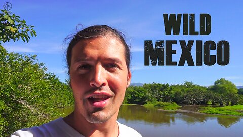 A taste of WILD MEXICO (Natural Treasures of Lo de Marcos town, Nayarit)