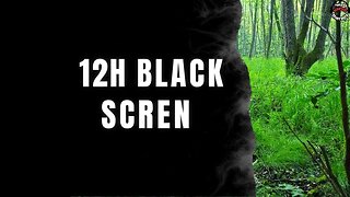 Peace of Mind (12 Hours) | Primal Stream Sounds & Alpha Waves for Deep Flow State