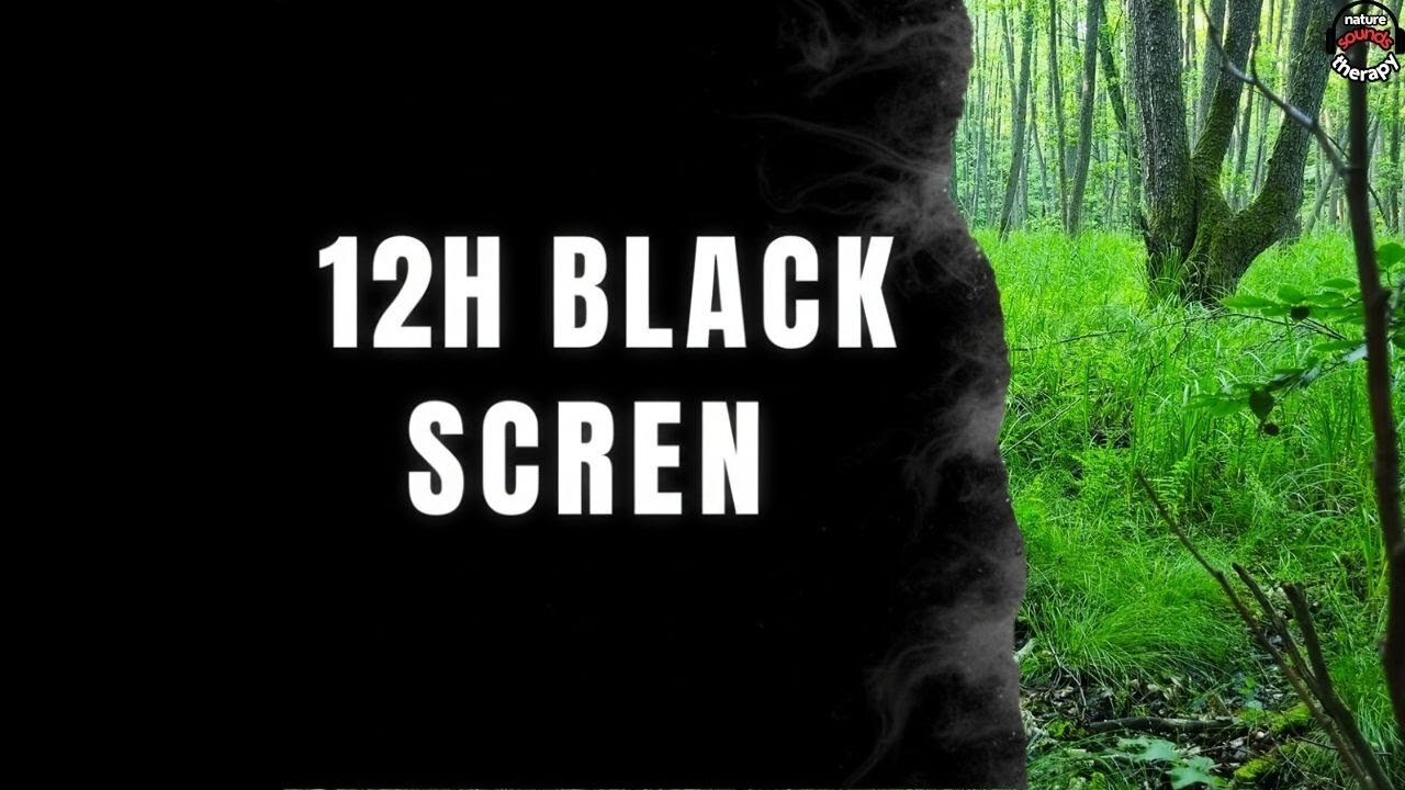 Peace of Mind (12 Hours) | Primal Stream Sounds & Alpha Waves for Deep Flow State