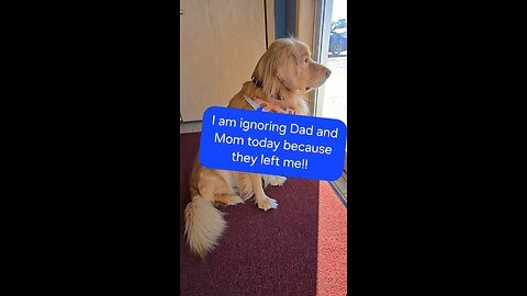 I deserve a seat on the plane!