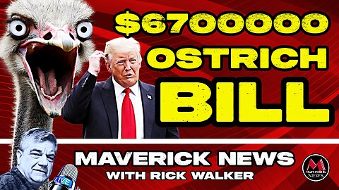 ICE Riots & Universal Ostrich Farm: Taxpayer Bill SHOCK Revealed!