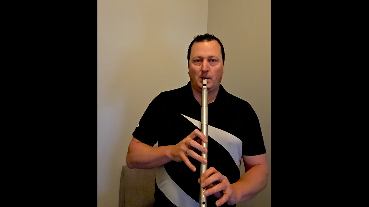 'Coral Castle' on low D whistle