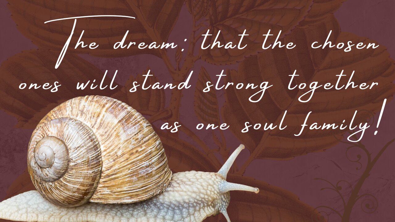 The angelic dream: that the chosen ones will stand strong together as one soul family! No more fighting amongst eachother!