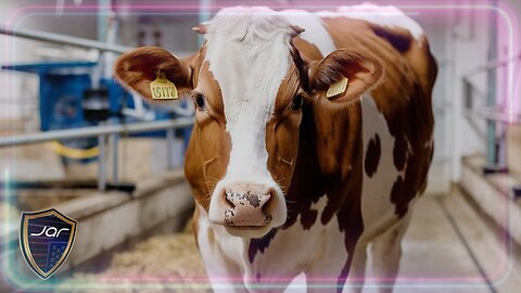Engineered Consumption: A SILENT Overhaul of Your FOOD