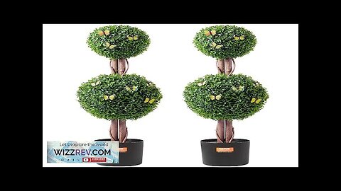 VEVOR 2 Pack 3' Artificial Boxwood Topiary Tree Faux Plant UV Decor Review