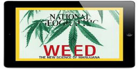 Crockett Had Secret Stake in Marijuana Business While Defending Convicted Killer