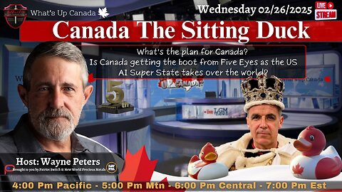 Canada The Sitting Duck