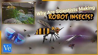 Why Are Scientists Making Robot Insects? — Veritasium