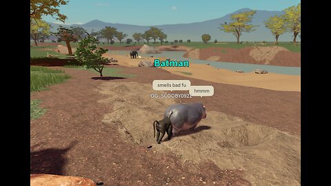 Savannah life with PRC