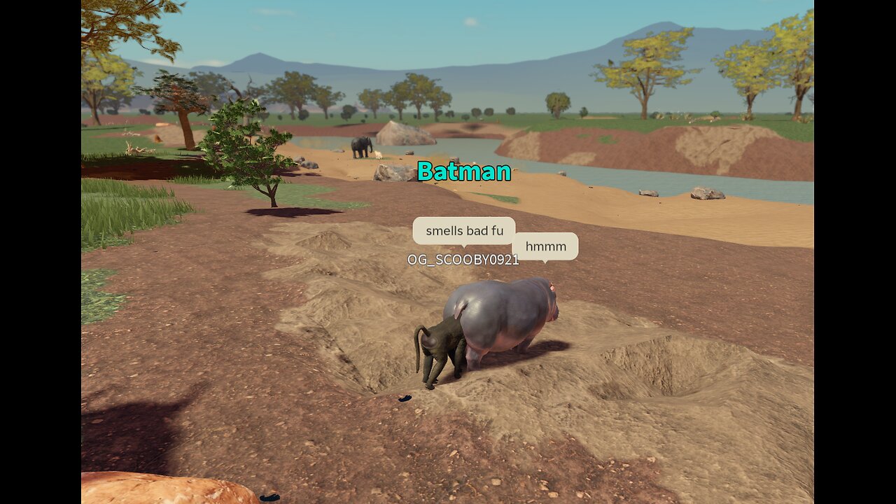 Savannah life with PRC