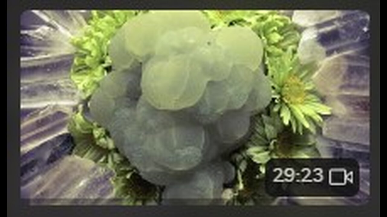 For entertainment purposes only