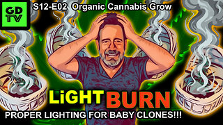 S12-E02 – Day 7 – LIGHT BURN! Baby Clones Are NOT in Veg Stage; They're In Rooting Stage!